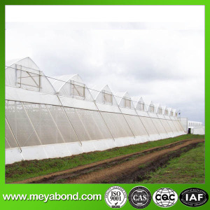 Greenhouse PE Anti Insect Plastic Mesh Safety Net